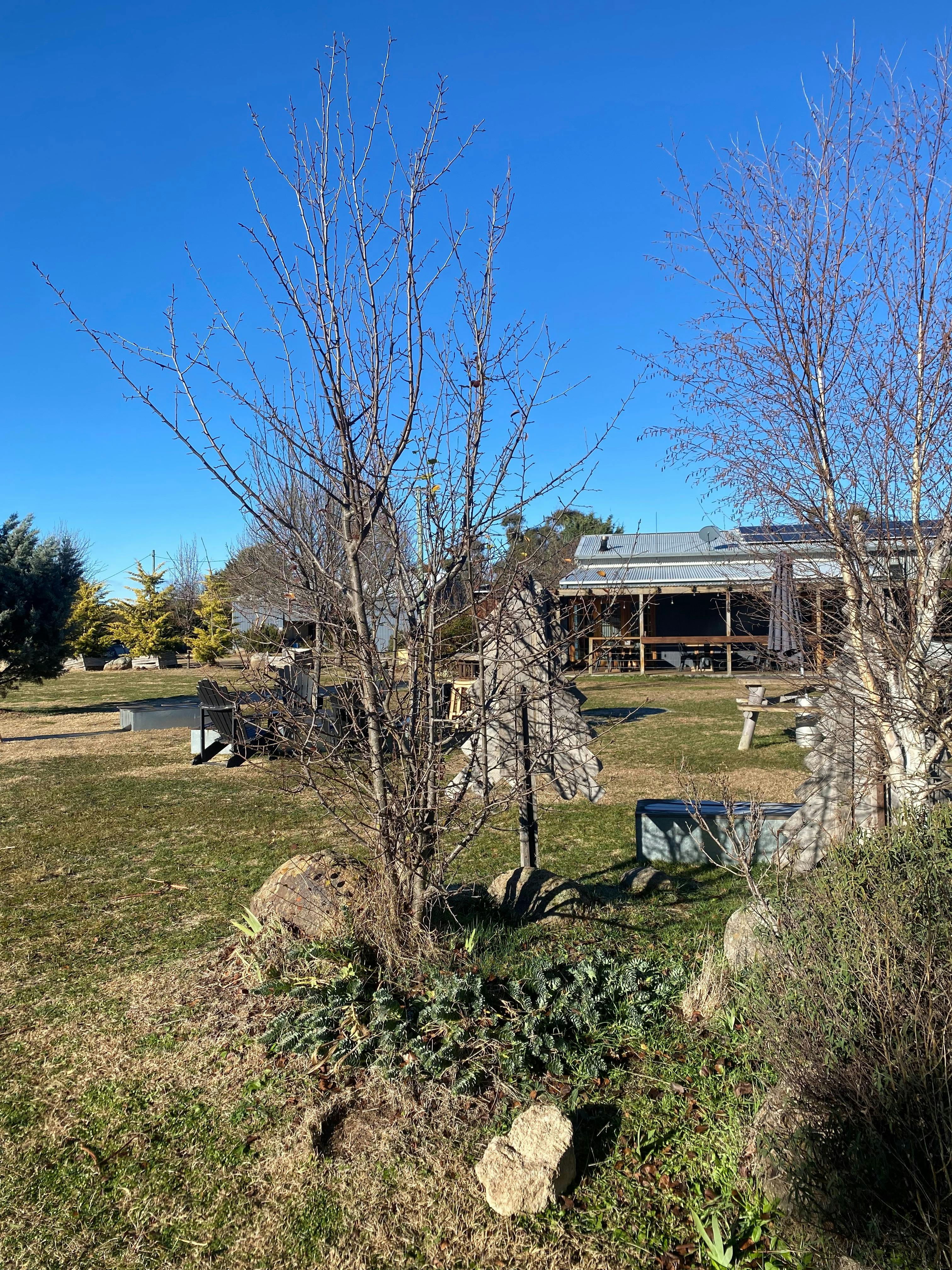 A photo of the back on the Brewery; the outdoor seating area can be seen, and seating on the deck