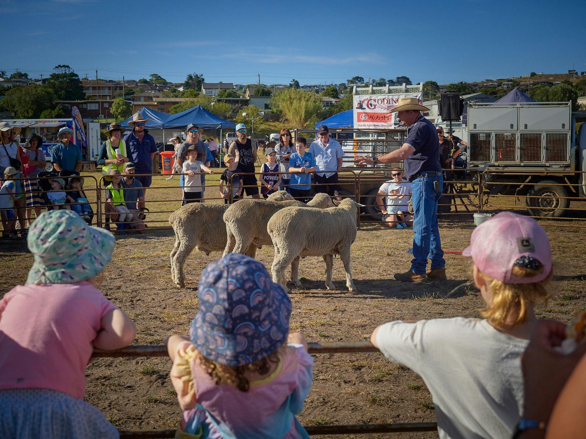 Children and families watching a sheep dog demonstration at the Bellarine Agricultural Show.