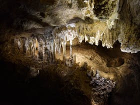 Capricorn Caves