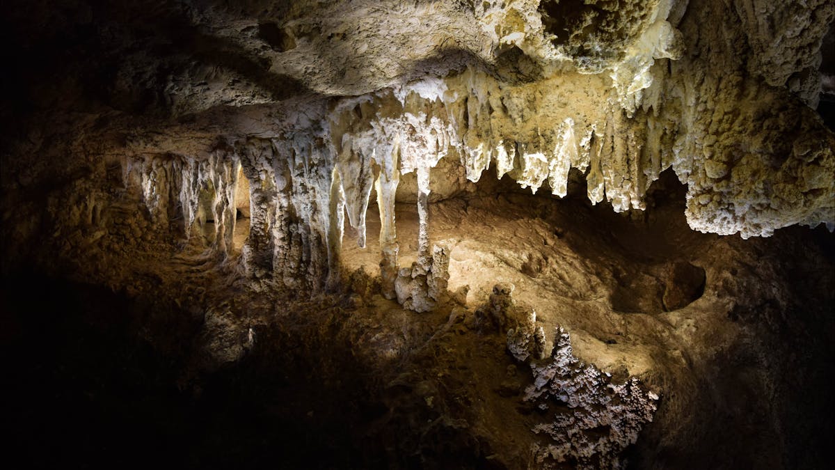 Harp cave view able on fossil tour