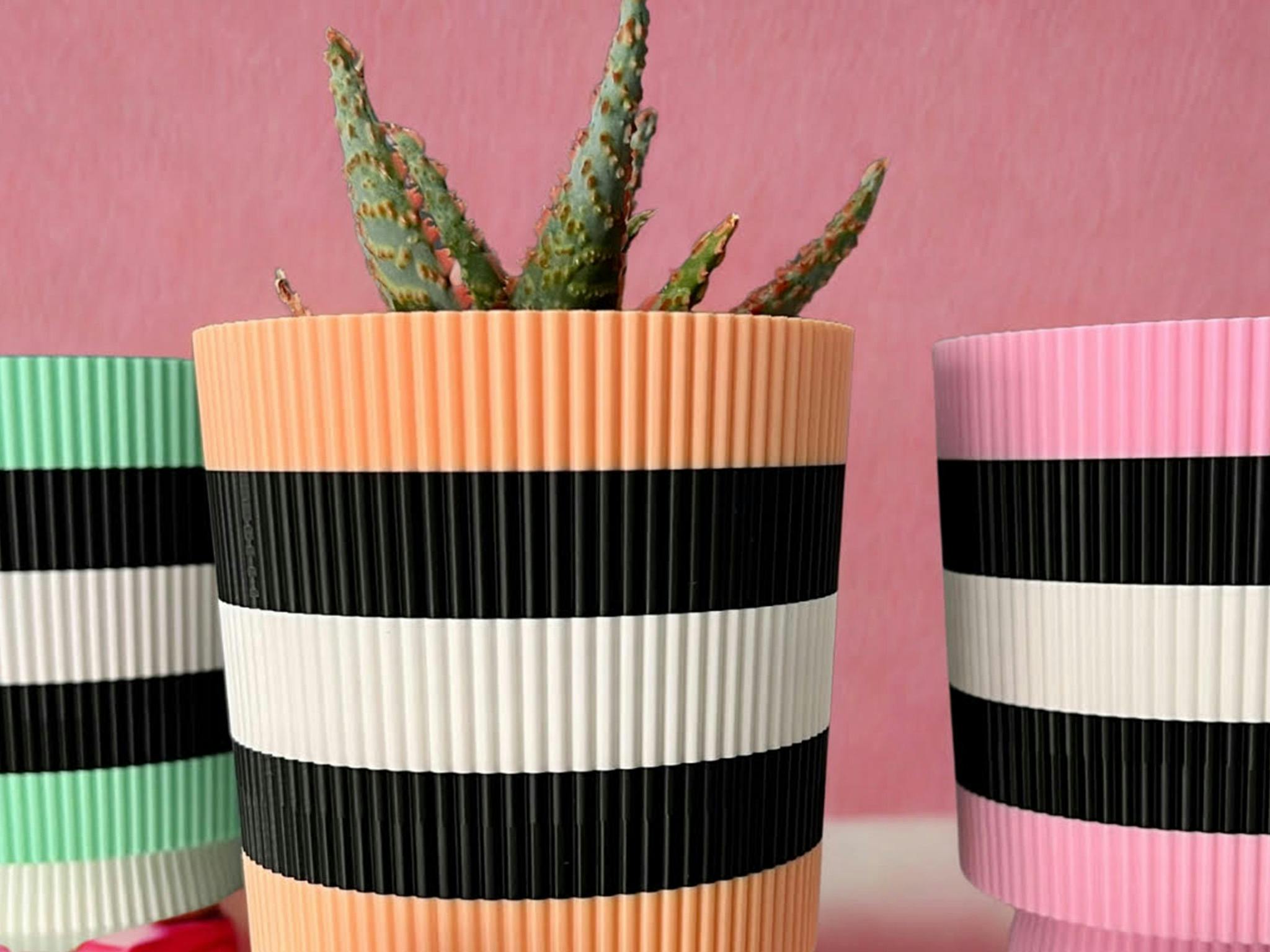 Colourful Planter Pots with Succulent