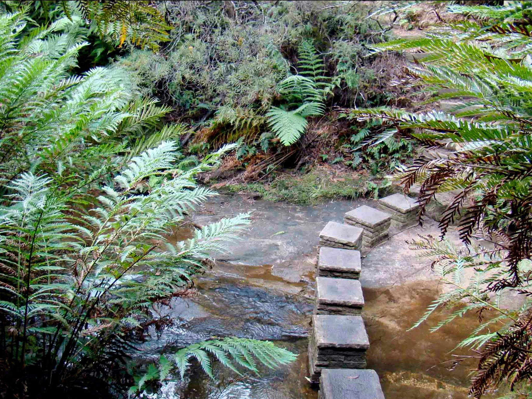 Nature Track, Blue Mountains National Park