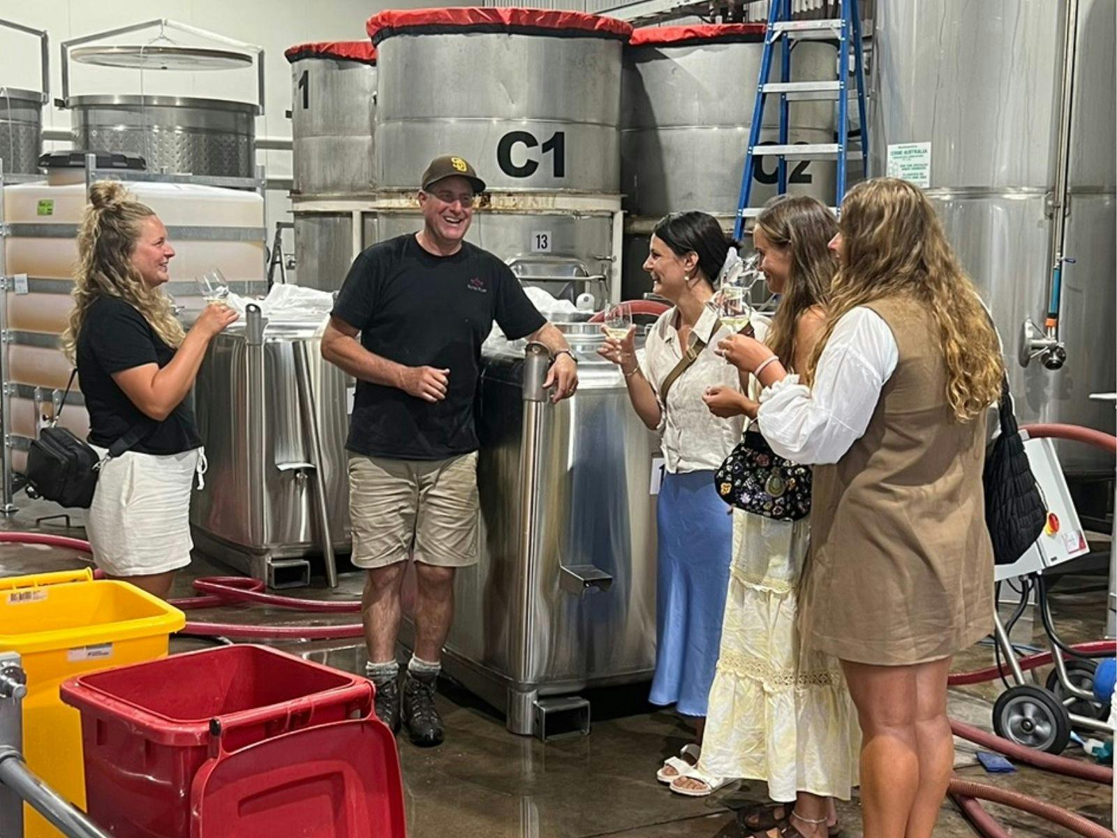 Tourists discover hidden extras on a wine tour, enjoying tastings among sunlit vines.