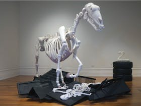 Sculpture of a horse skeleton made from wool with steel frame.