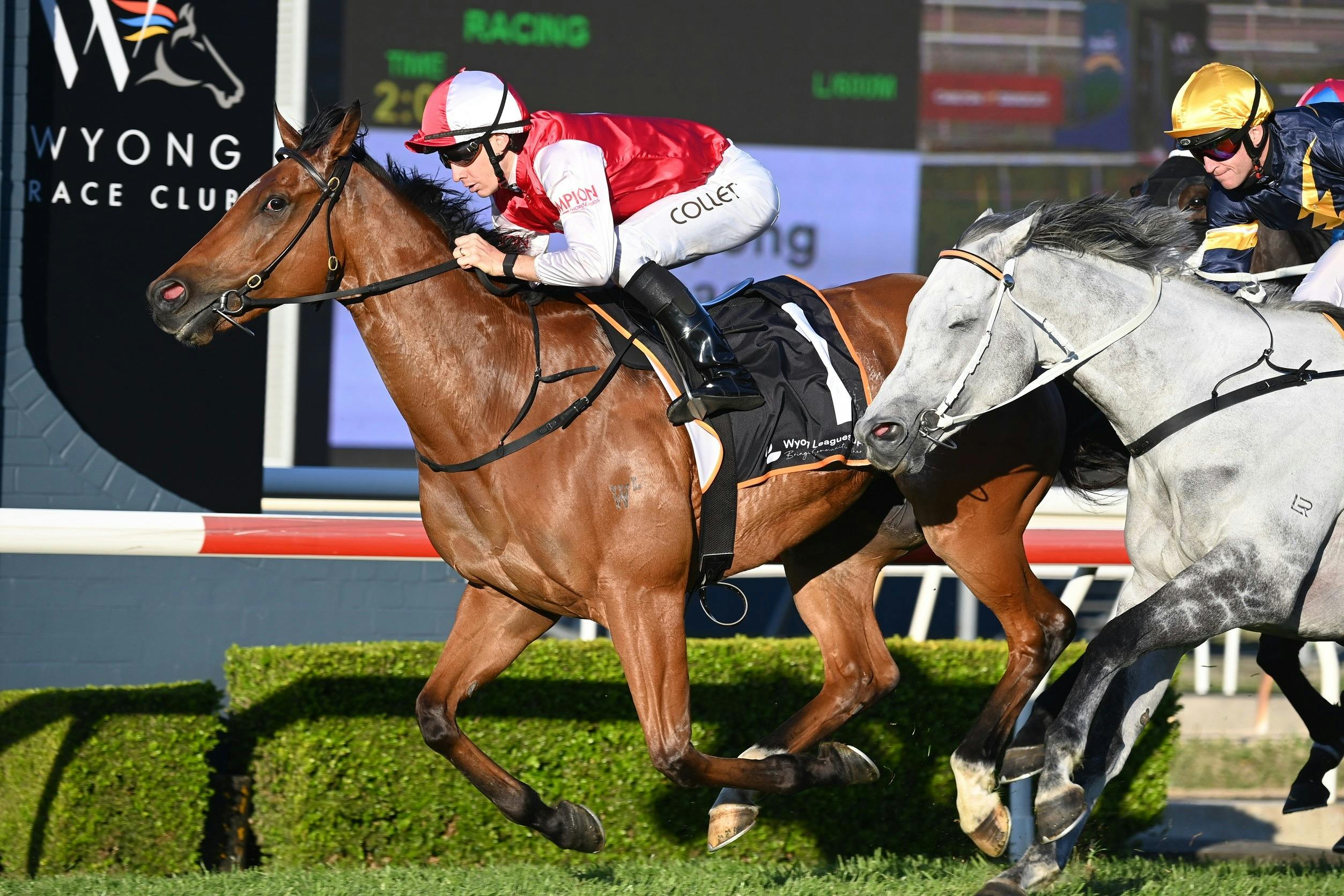 Enjoy thrilling racing on the track.