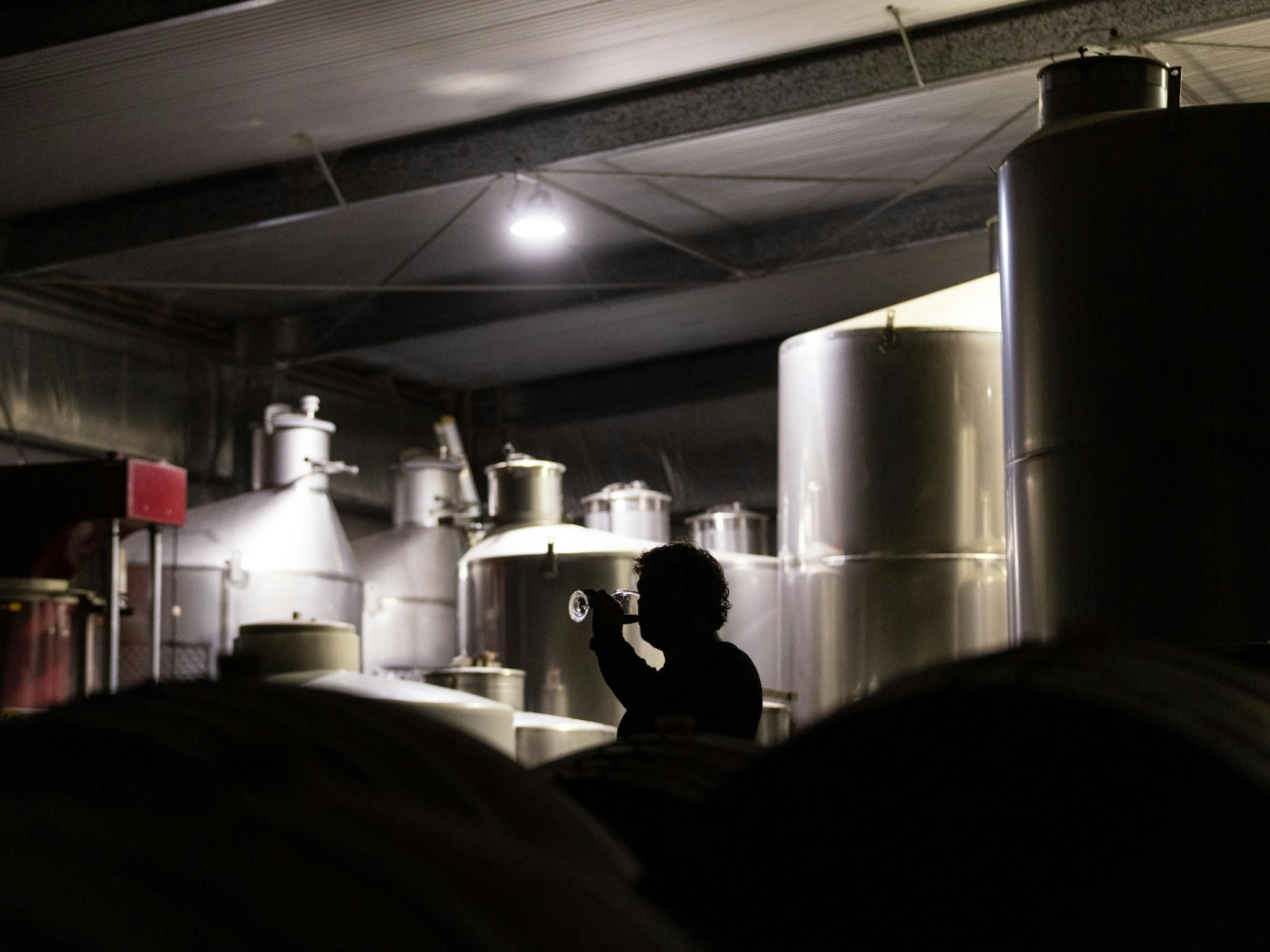 The Cellar Side of Geddes Wines with Tim in Shilouette