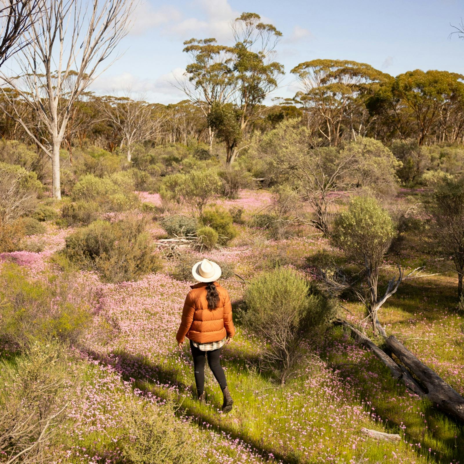 Person walking through wildflowers on the Wheatbelt Way self drive trail
