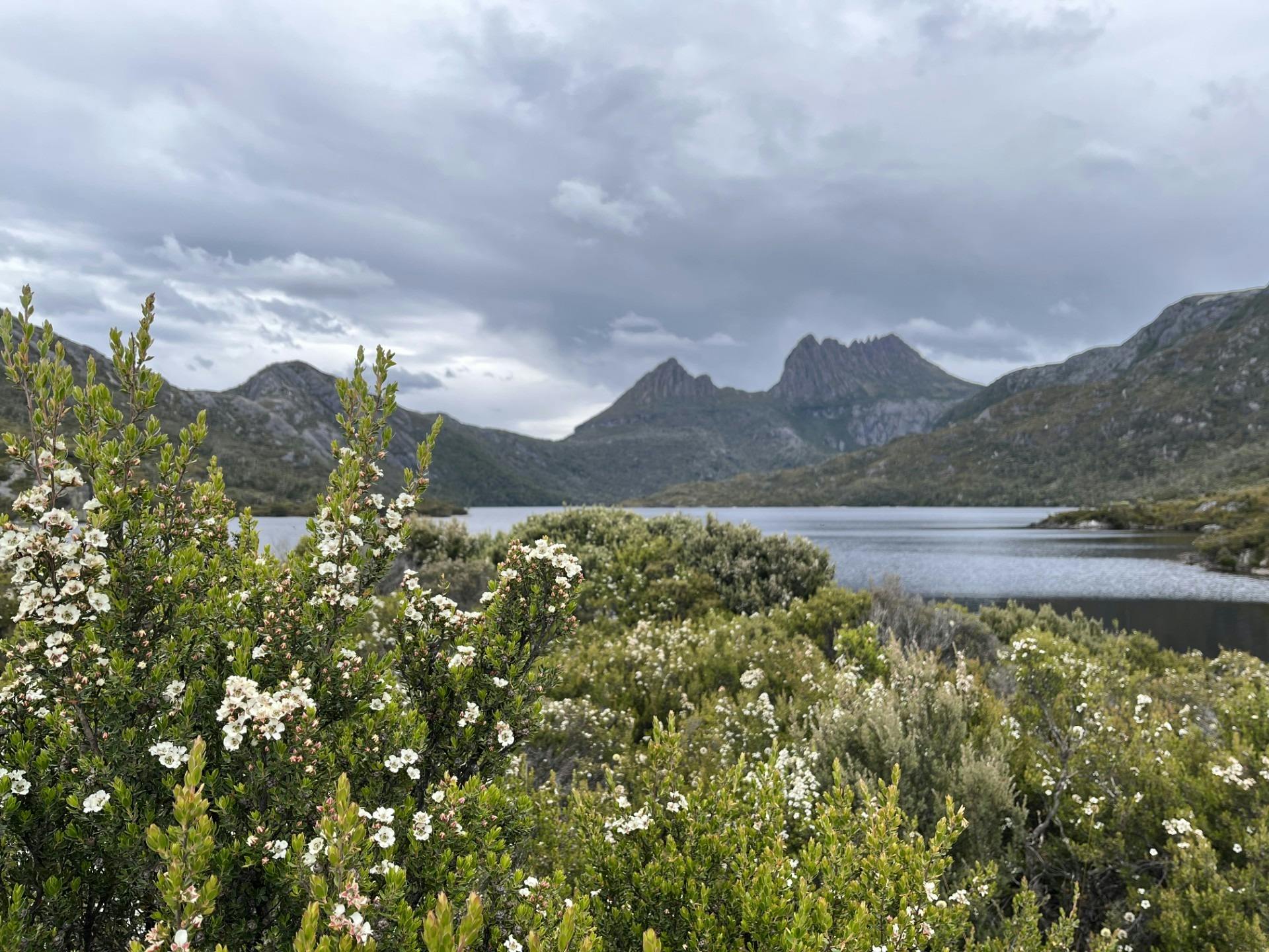 Views of Cradle Mountain