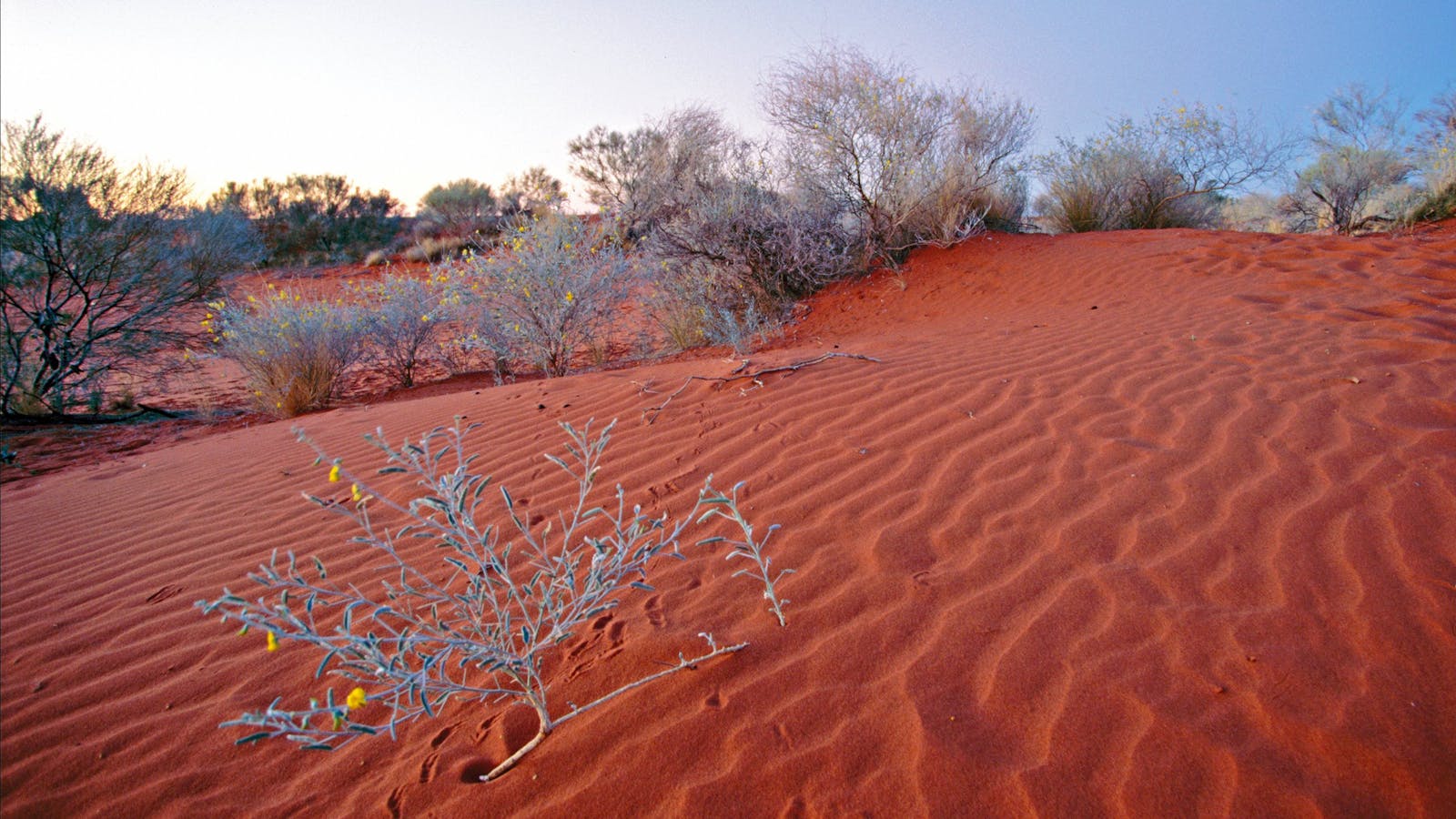 Welford National Park