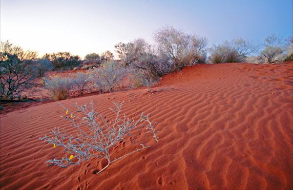 Welford National Park