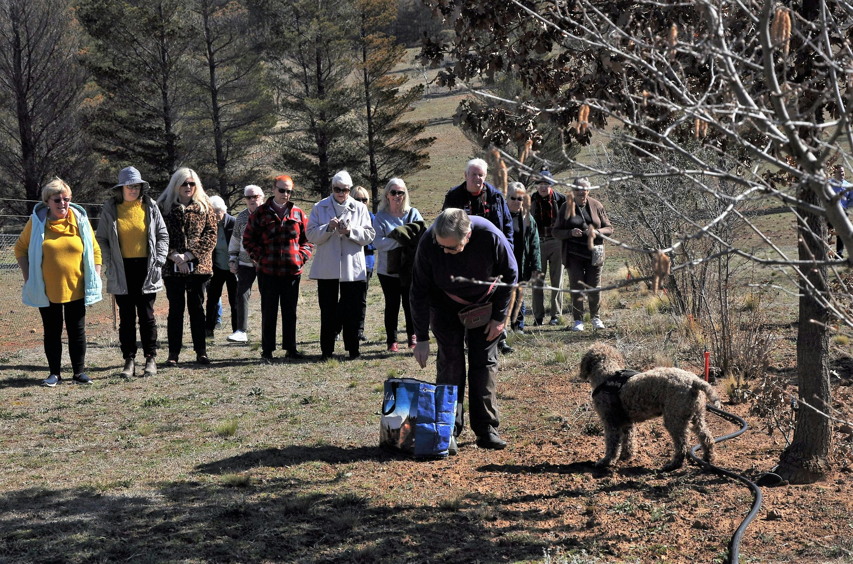 Truffle Hunt & Luncheon Tour NSW Holidays & Things to