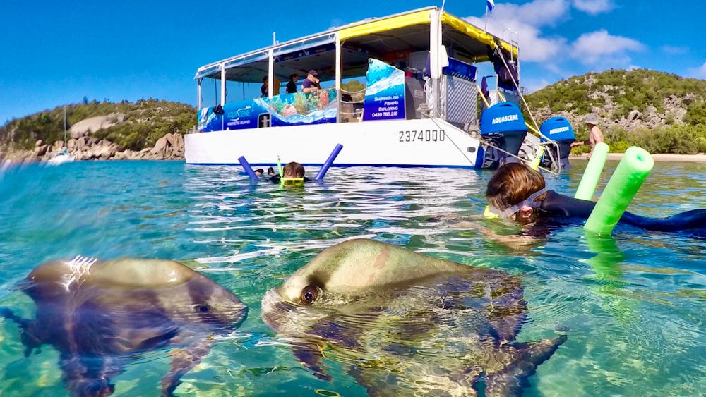 Aquascene Magnetic Island