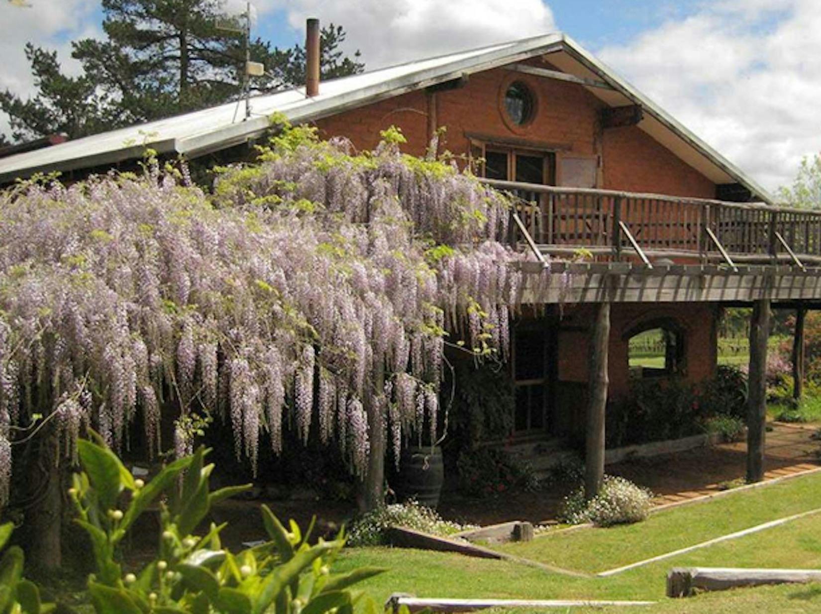 Mountford Wines