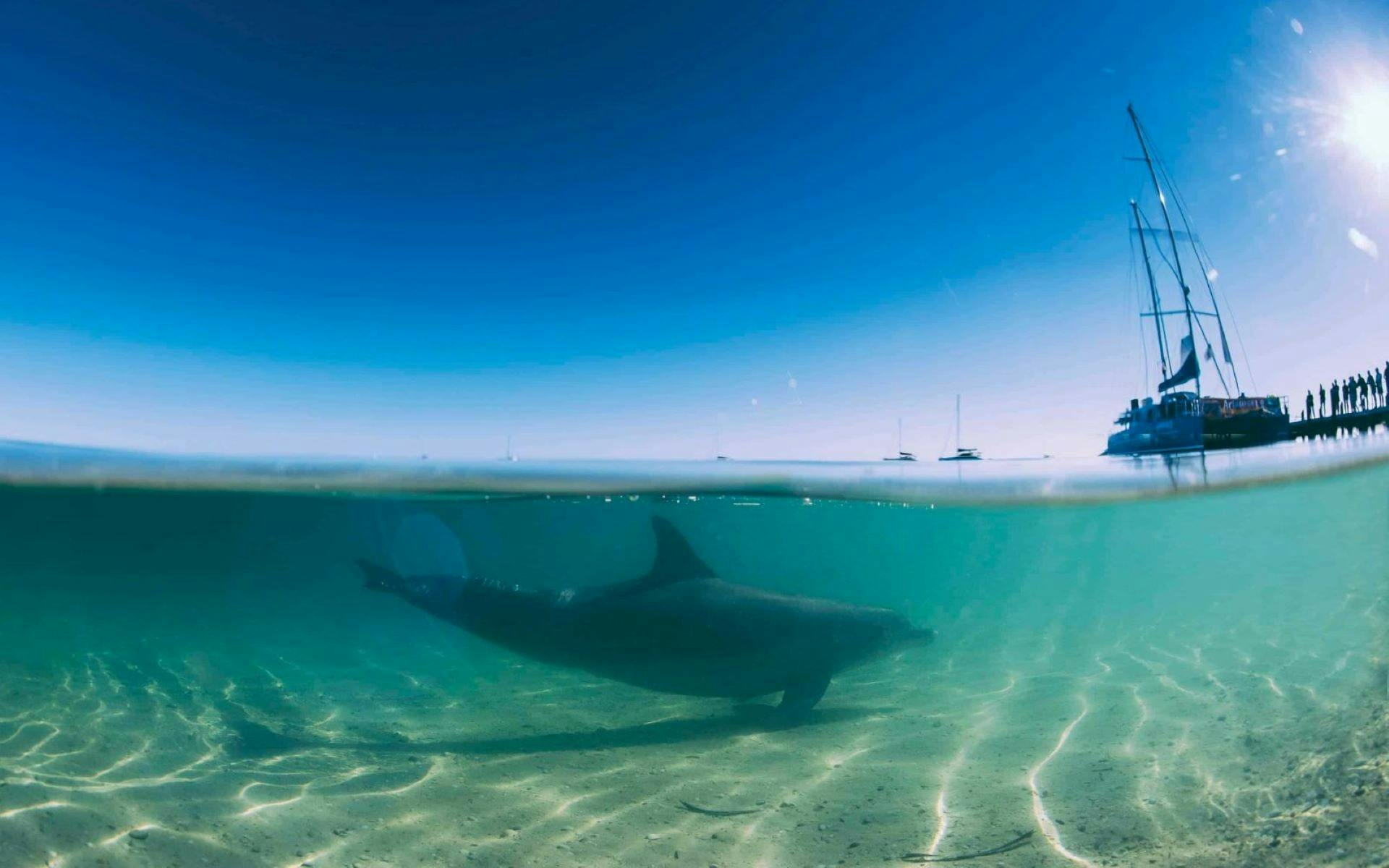 Coral Coast WA