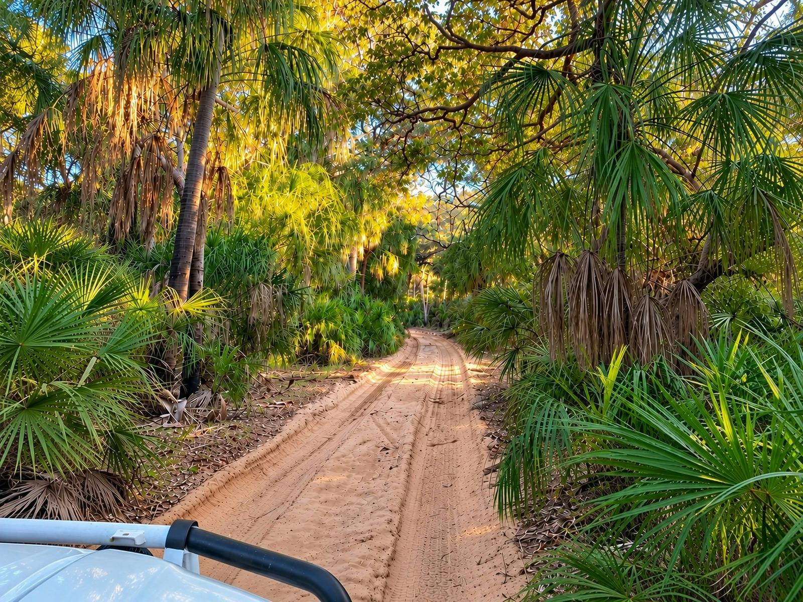 sand track 4x4 fun