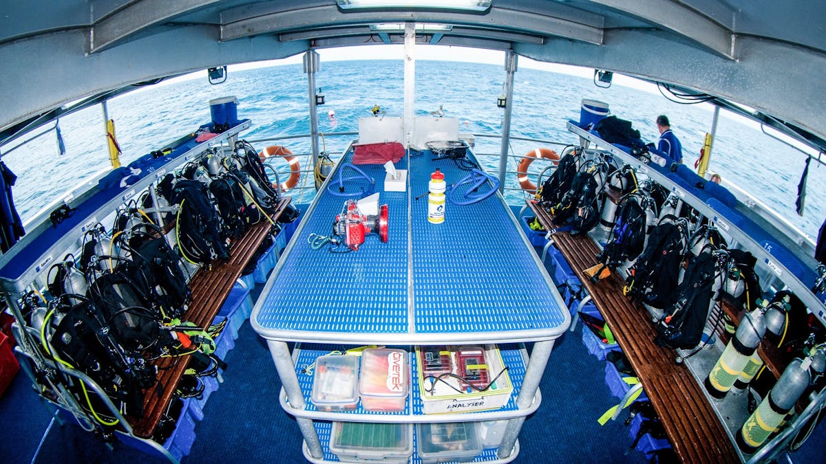 Spacious dive deck on SpoilSport