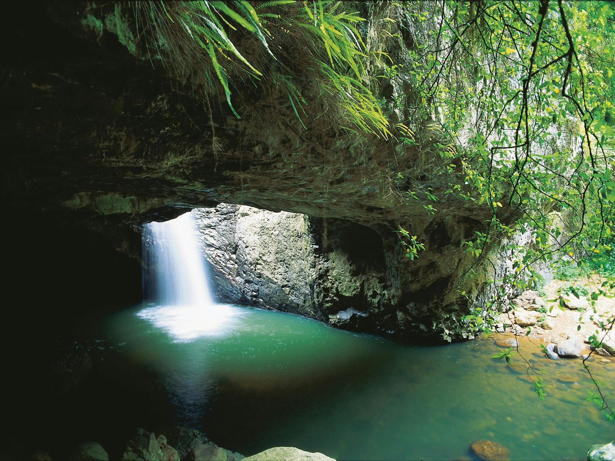 White water cascades down a rockface into a green rockpool White water cascades down a rockface into a green rockpool