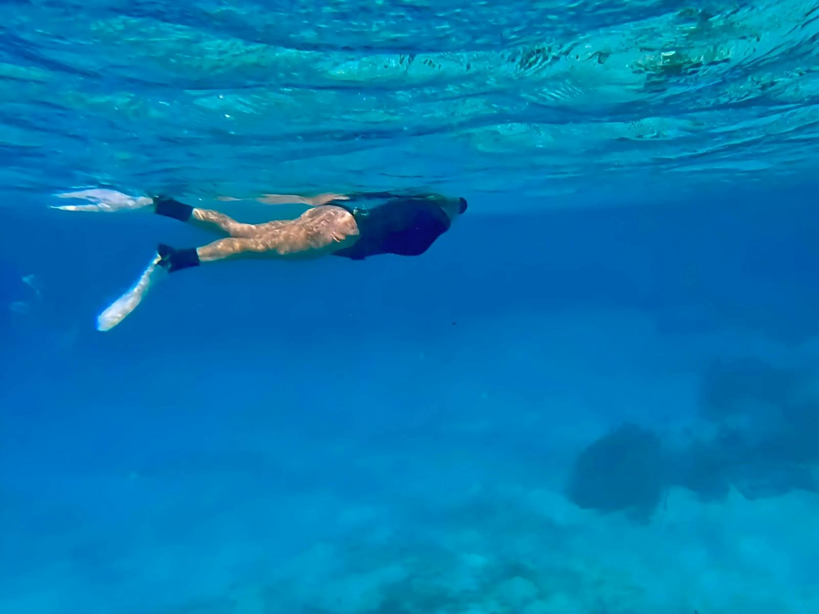 Snorkeling on the Ningaloo