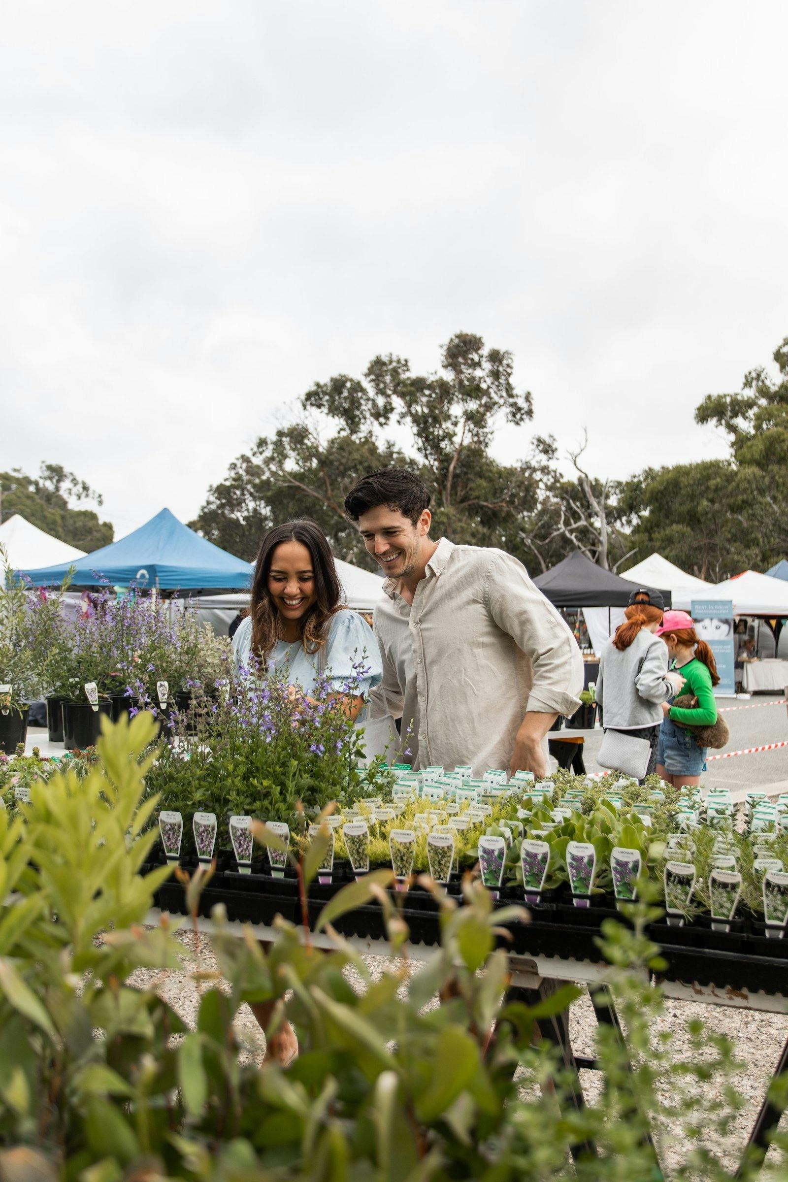 aireys inlet market