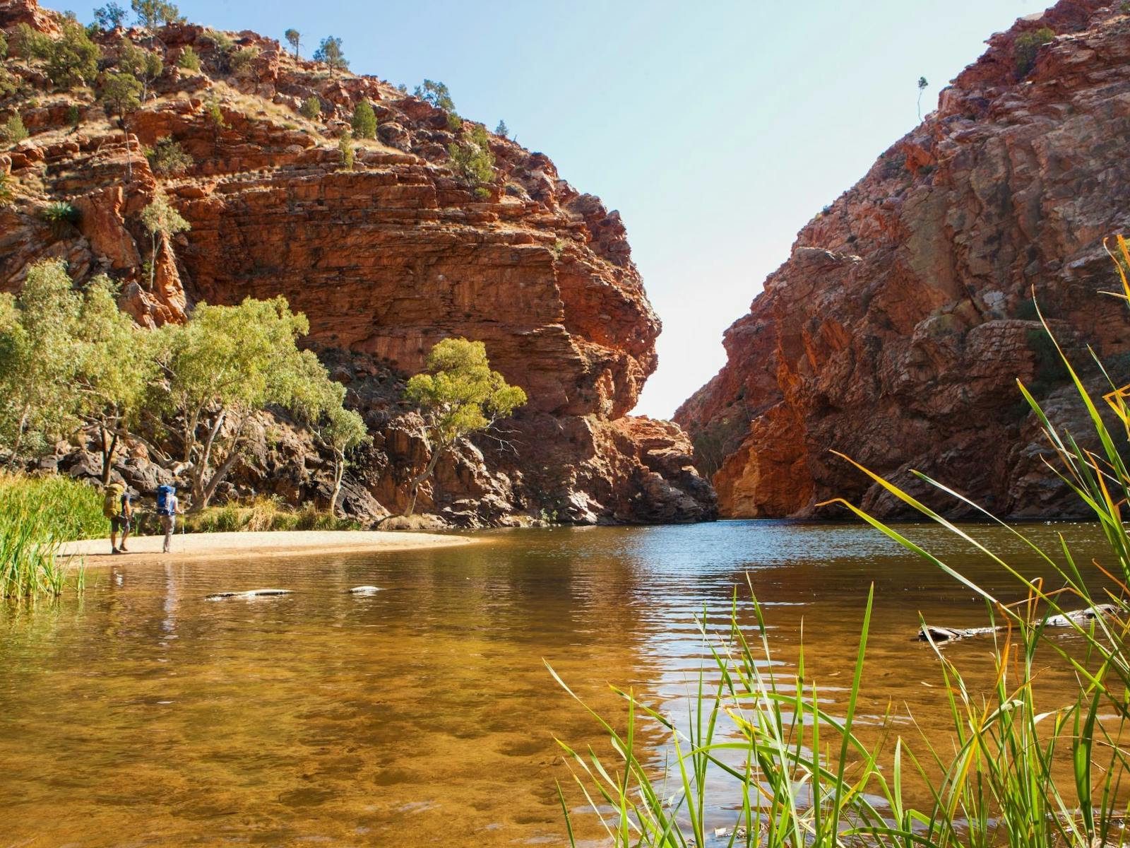 Ellery Creek Big Hole