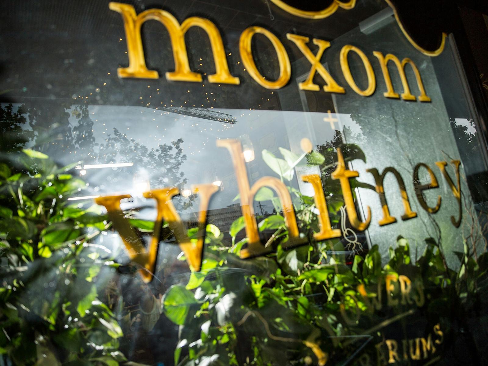 Moxom and Whitney