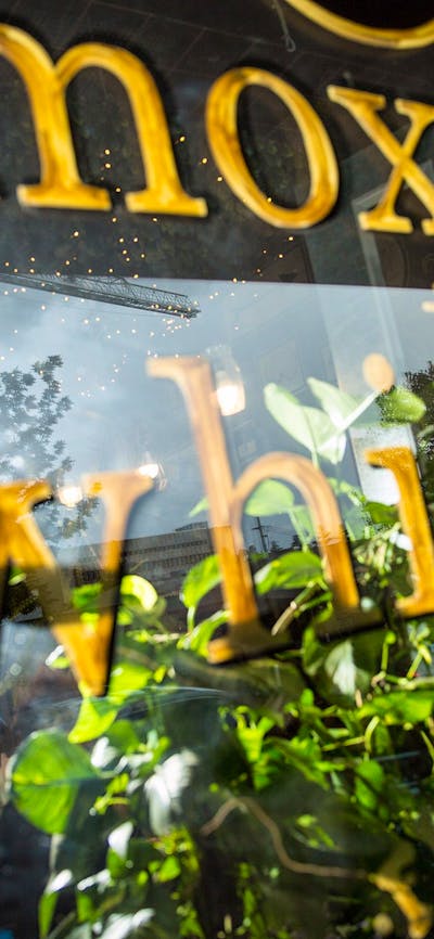 Moxom + Whitney front window