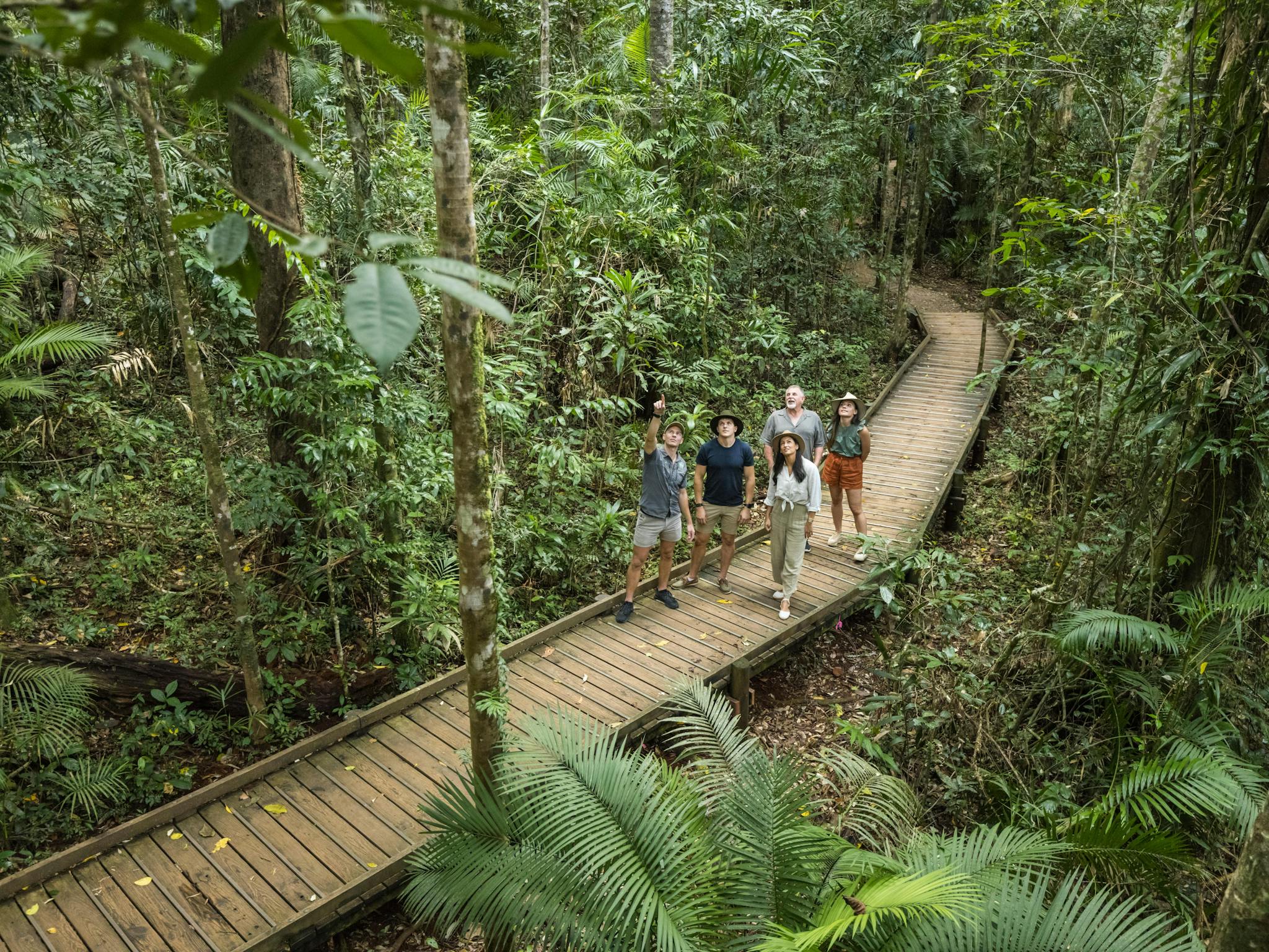 Daintree Rainforest Exploring