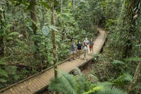 Daintree Rainforest Exploring