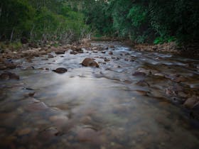 Creek at Eungella National Park