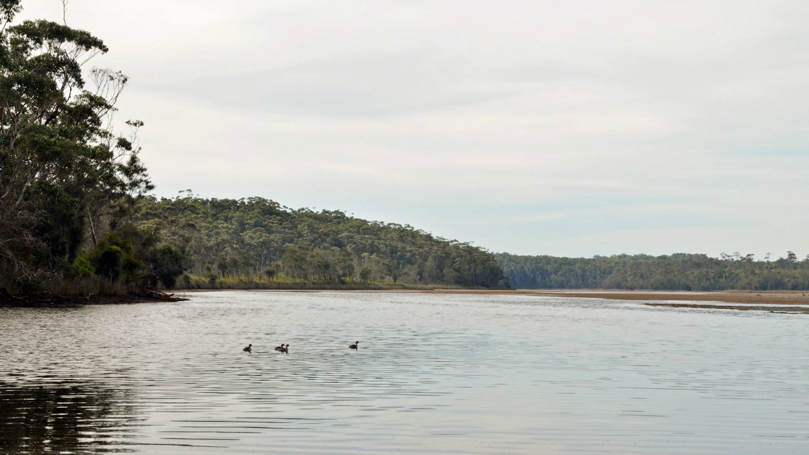 Tabourie Lake