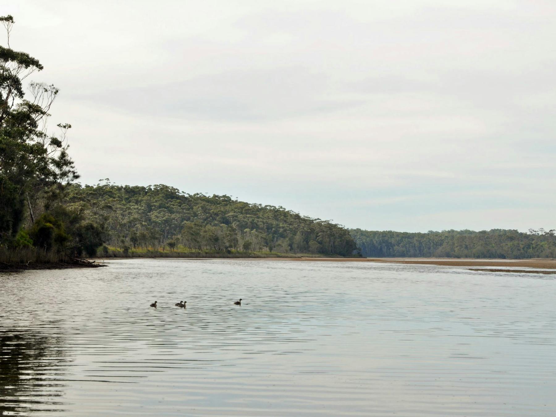 Tabourie Lake, Meroo National Park. Photo: Michael Jarman