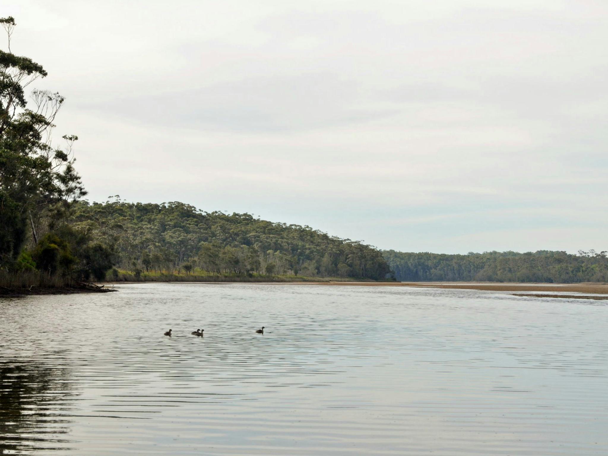 Tabourie Lake