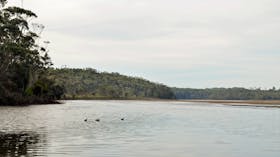 Tabourie Lake