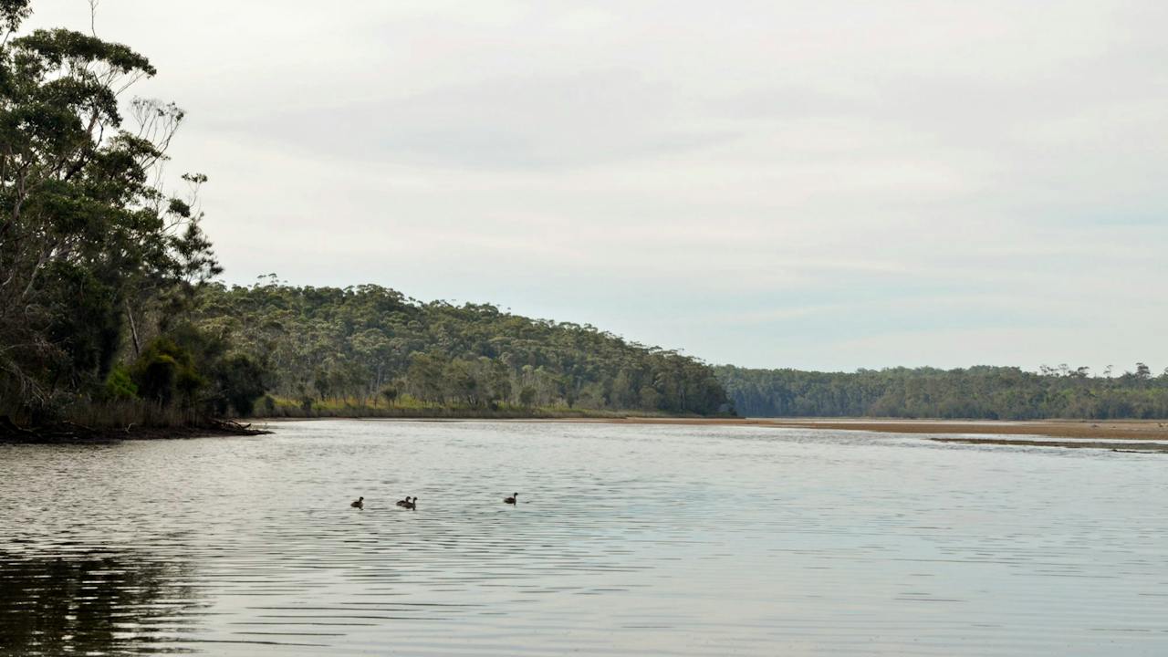 Tabourie Lake