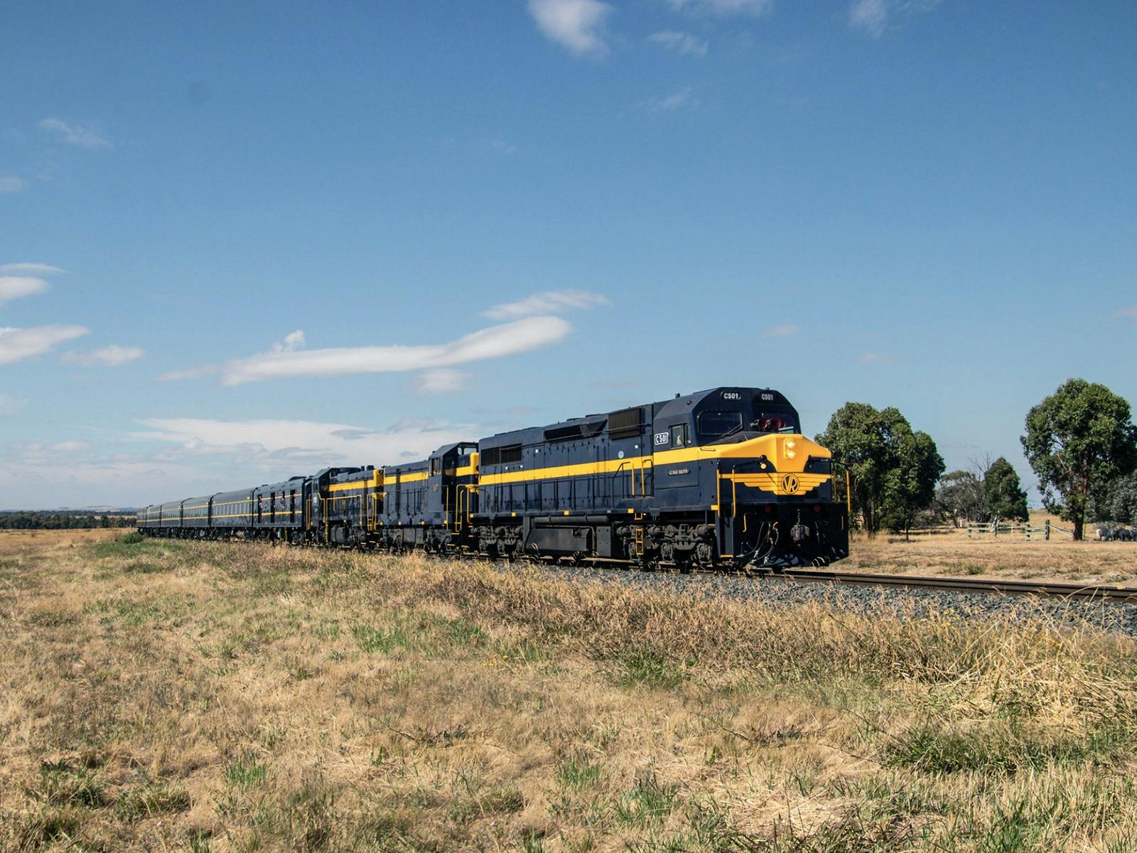 Heritage train pulled by Loco C501