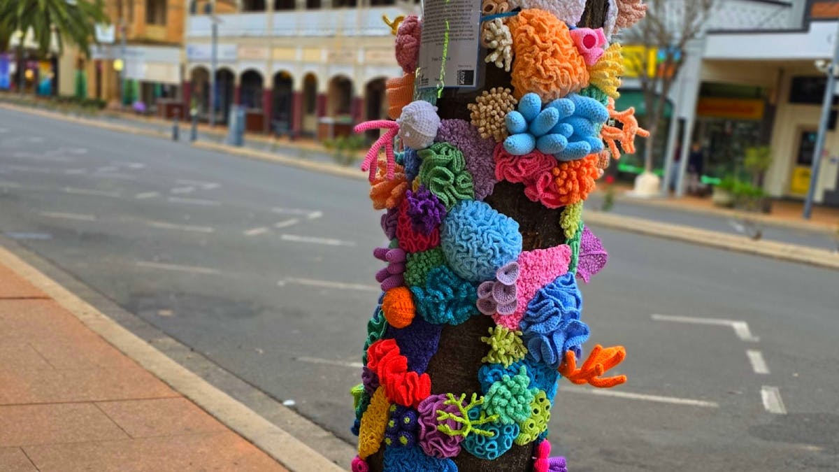 A tree in a street wrapped in crochet sea creatures A tree in a street wrapped in crochet sea creatures