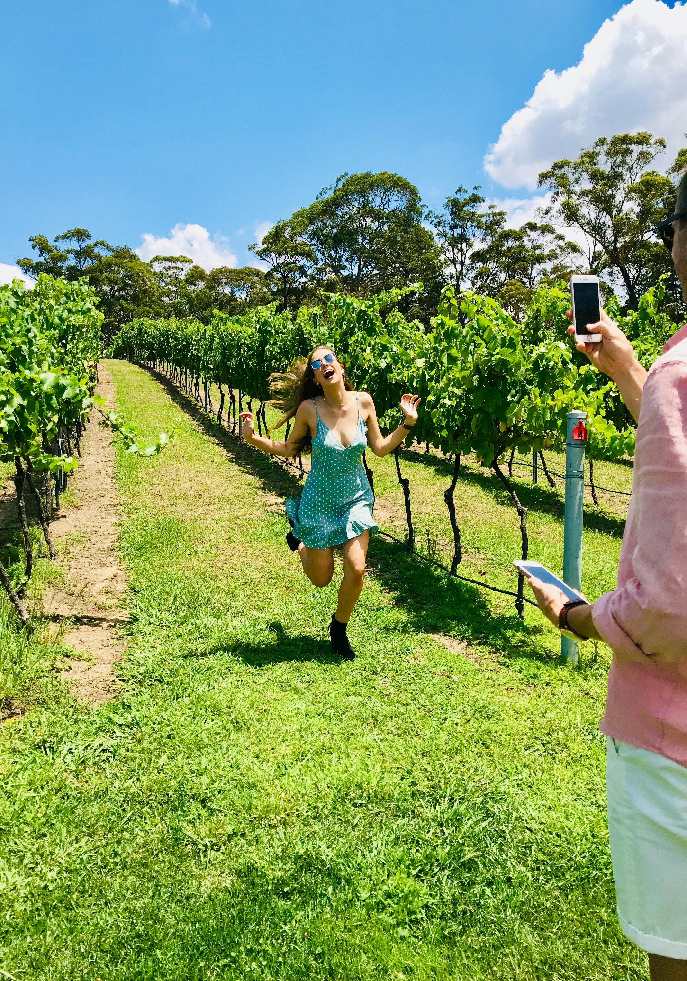 Through the vines at Artemis