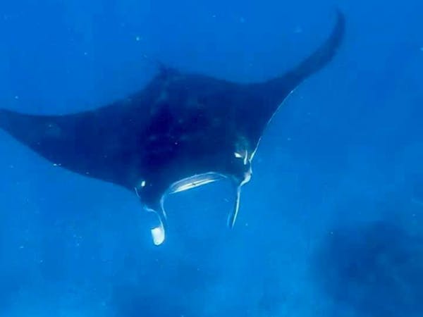 Oceania Experiences -Exmouth