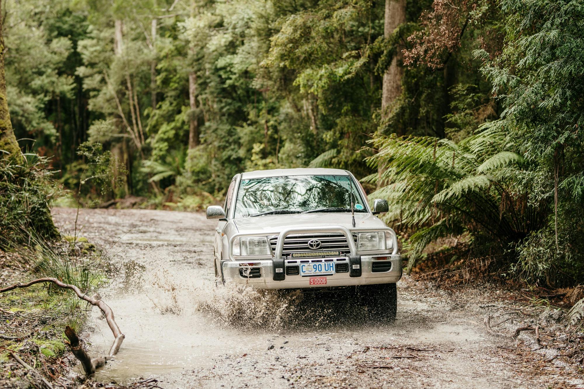 View of tour vehicle splashing through a puddle on the rough road through the Tarkine