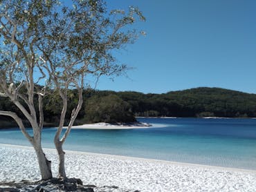 Waiuta Retreat Fraser Island accommodation deal