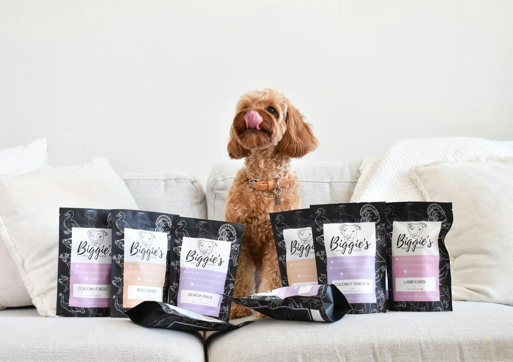 A Dog's Life Pet Expo