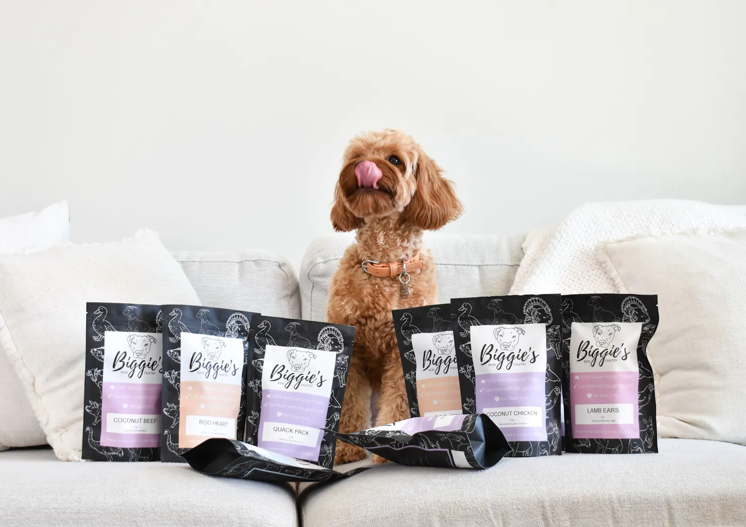 A Dog's Life Pet Expo Noosa