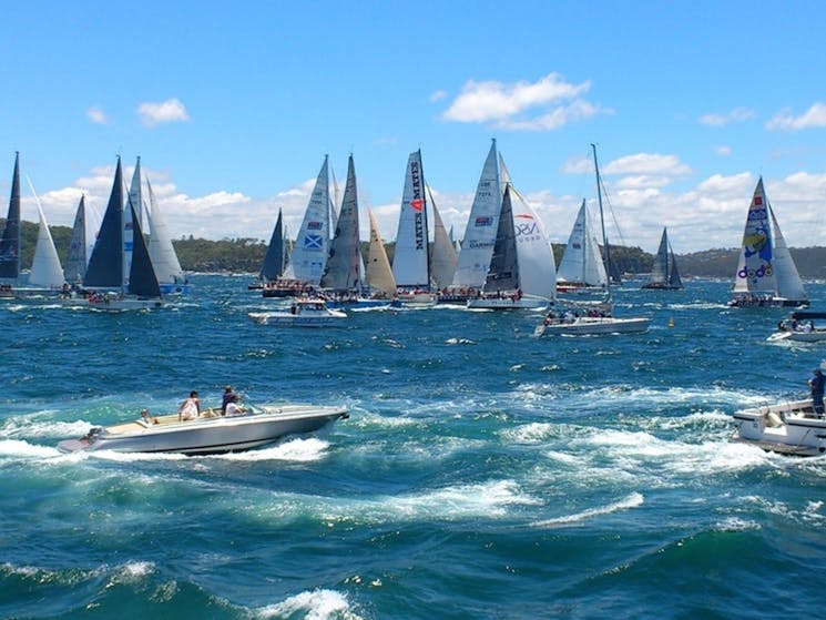 sydney to hobart harbour cruise