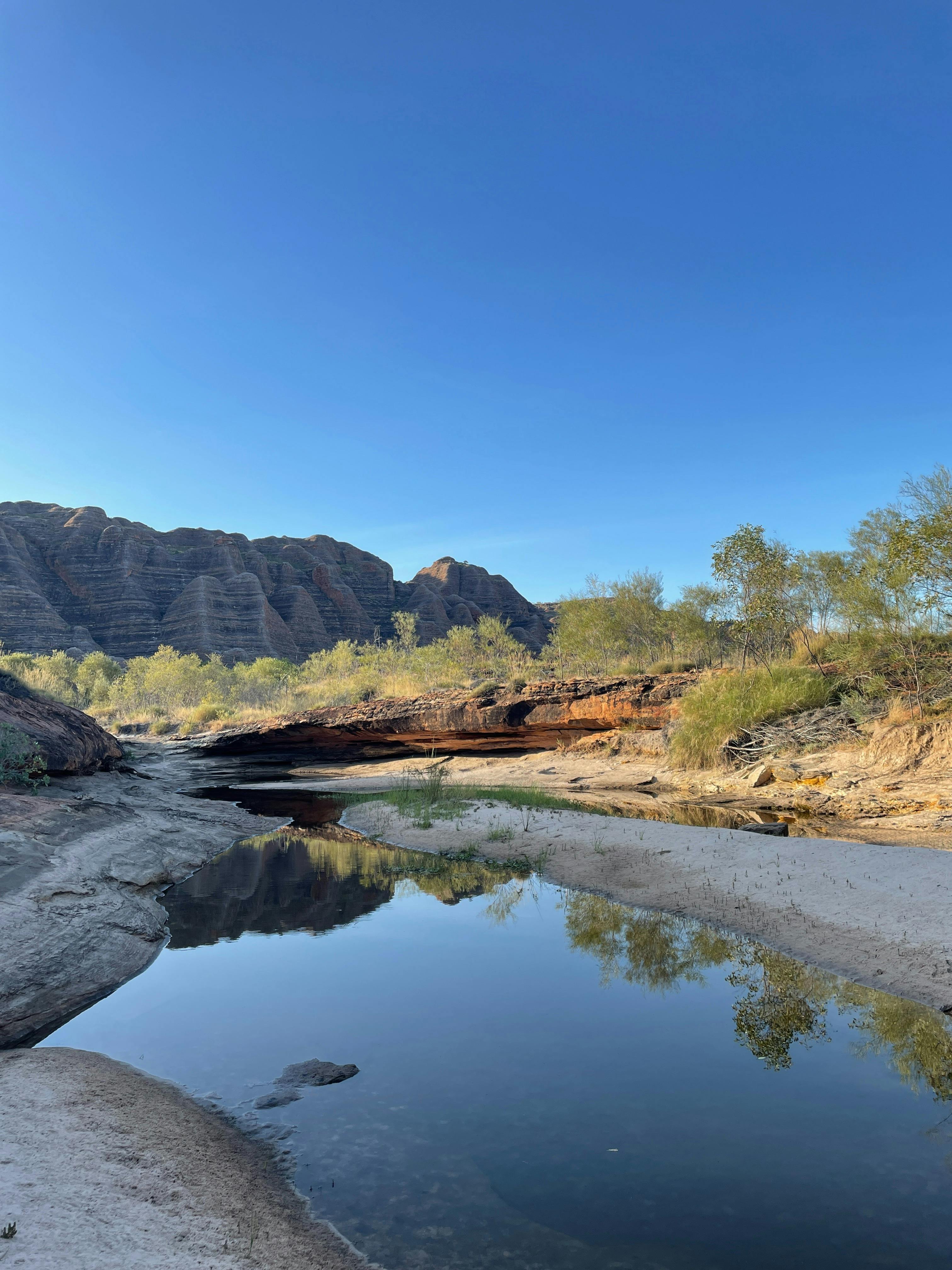 Bungles