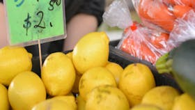 farmers market