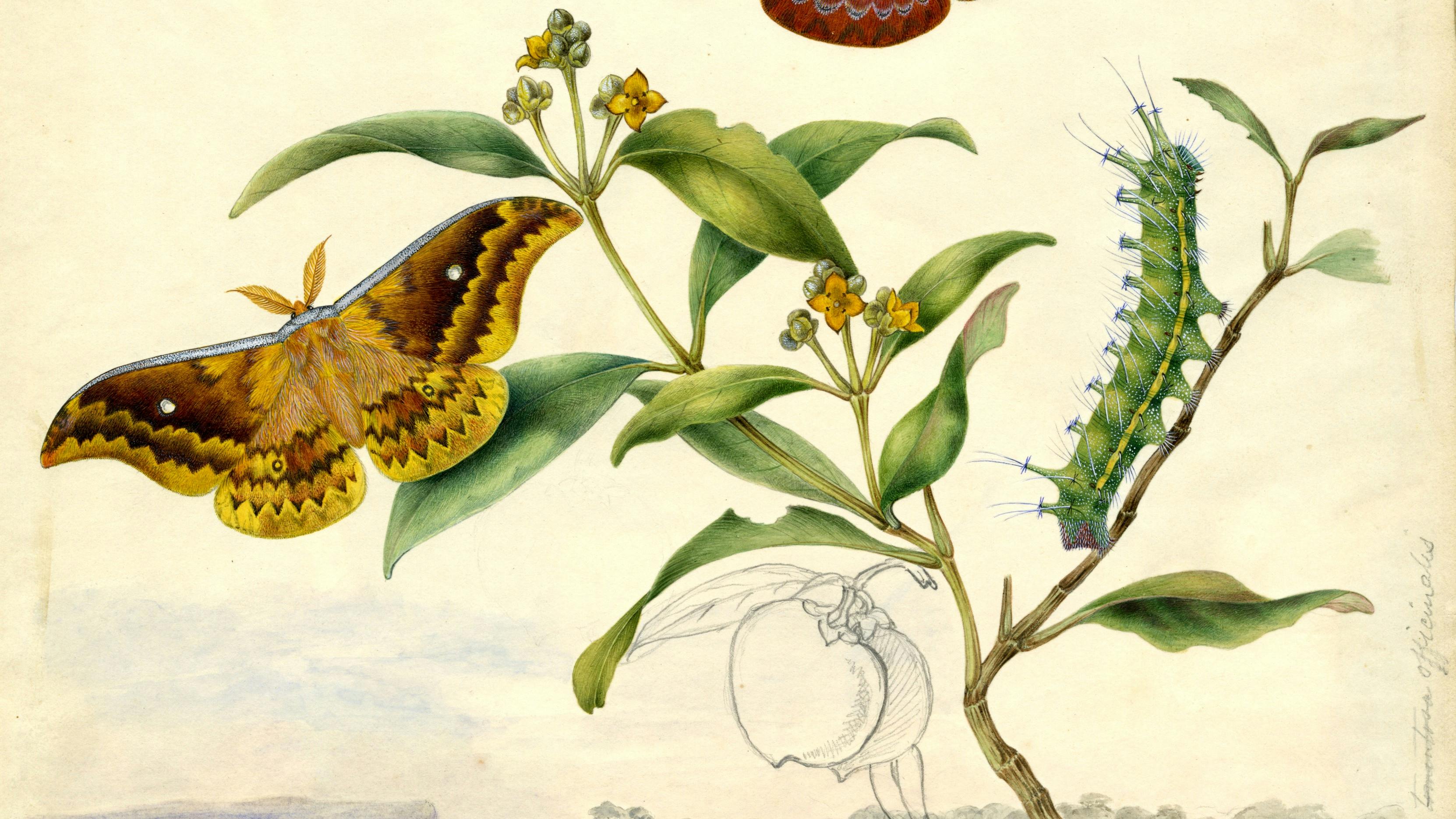 Transformations: Art of the Scott Sisters