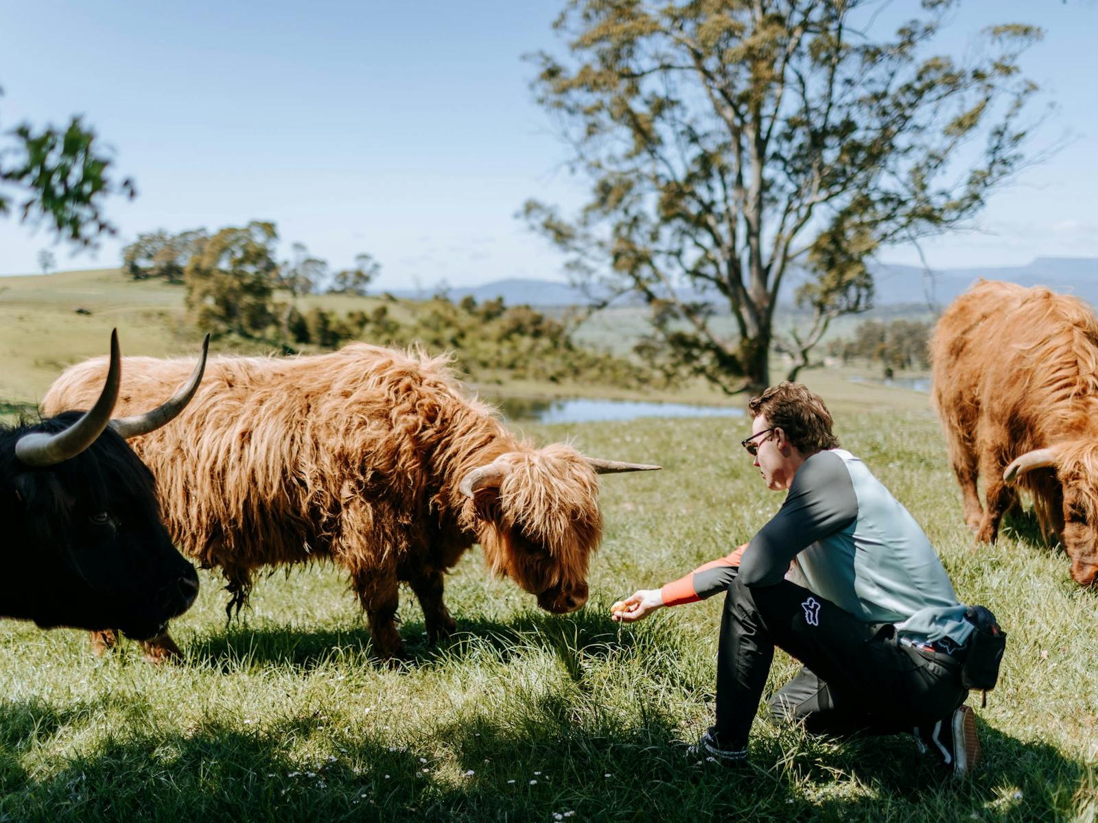 Farm Tours in Tasmania