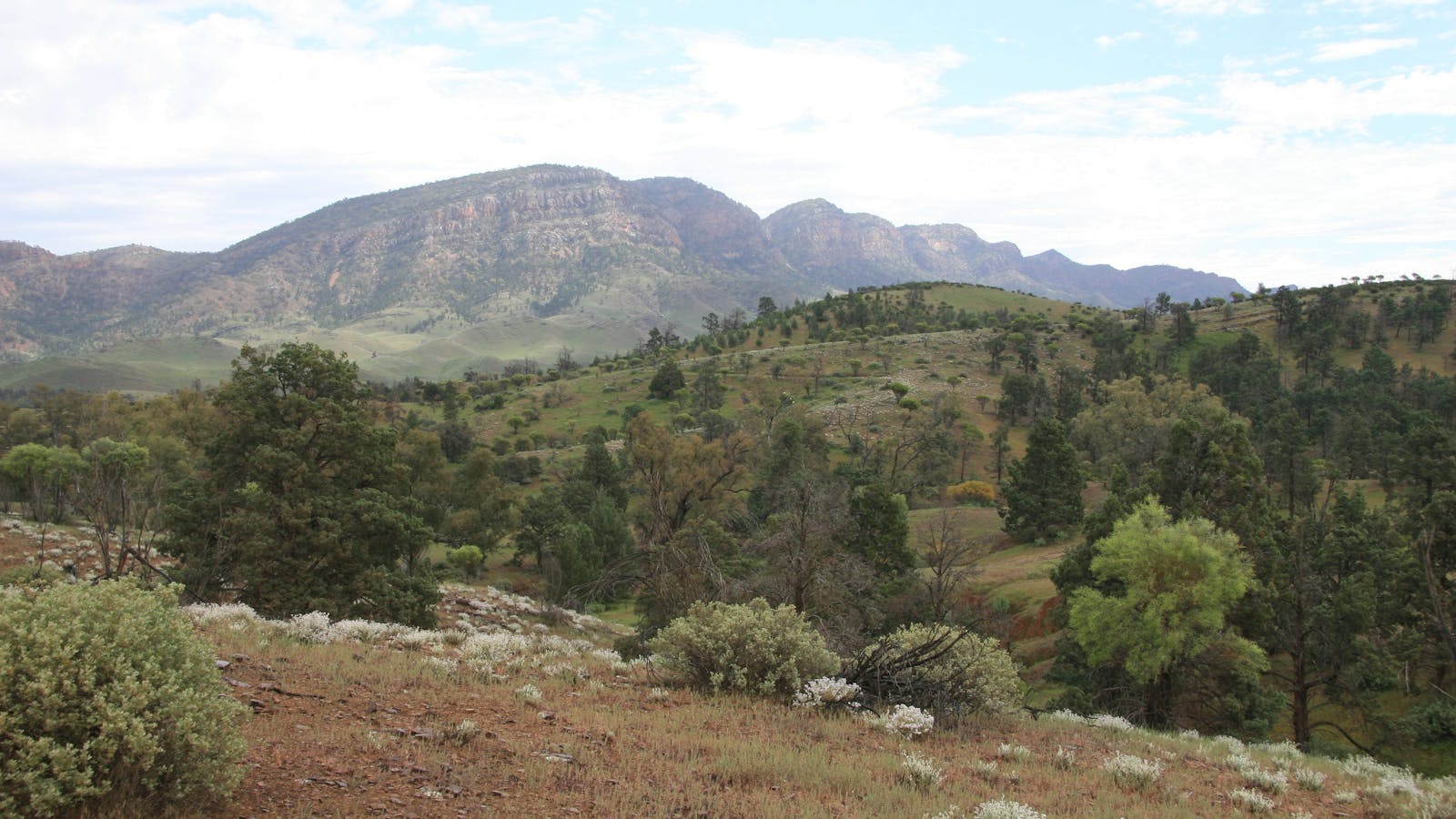Brachina Gorge Geological Trail
