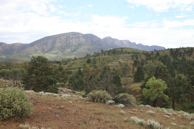 Brachina Gorge Geological Trail