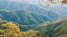 Point Lookout Walking Track